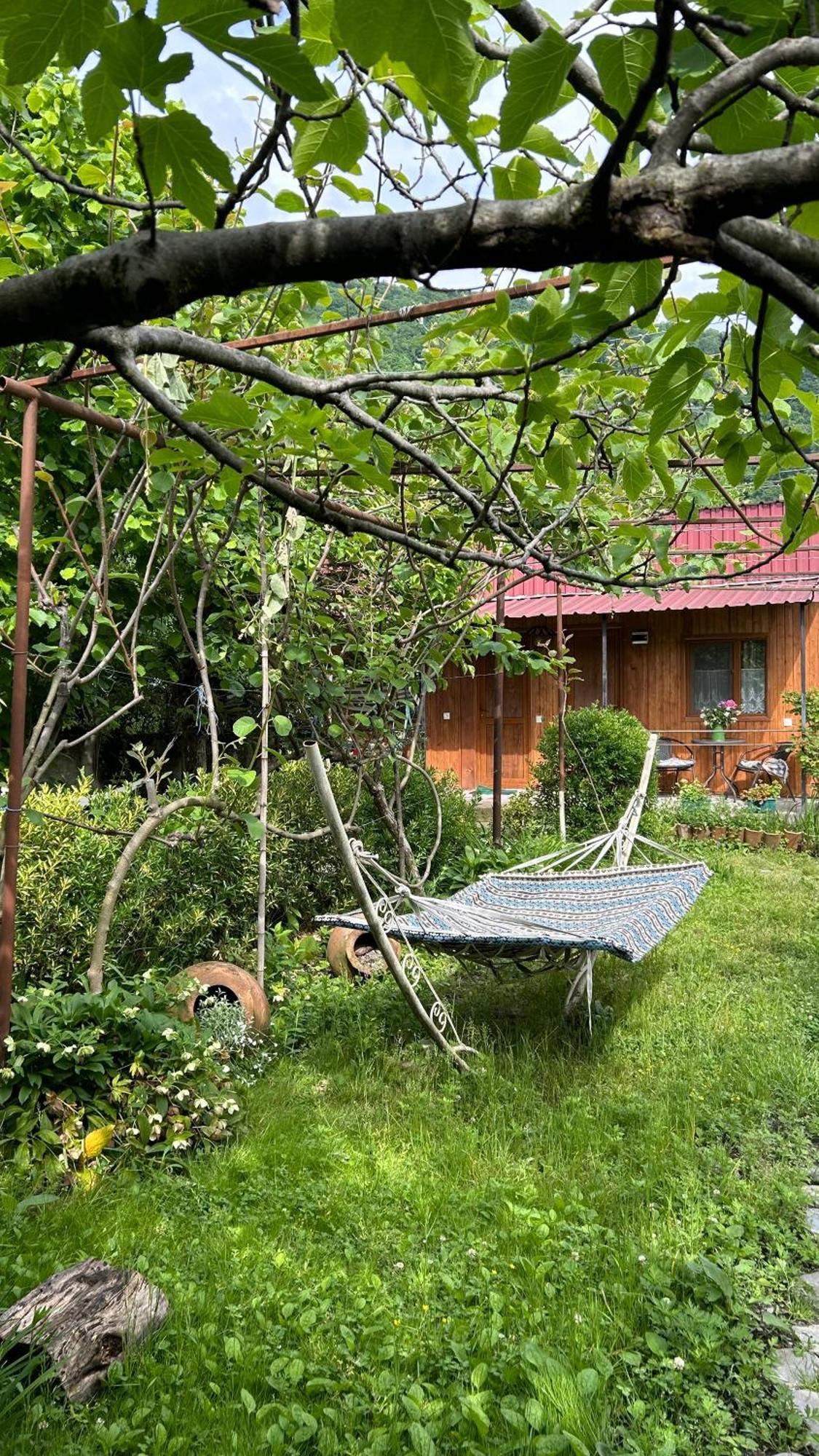 Ludwig Guesthouse Lagodekhi Zewnętrze zdjęcie