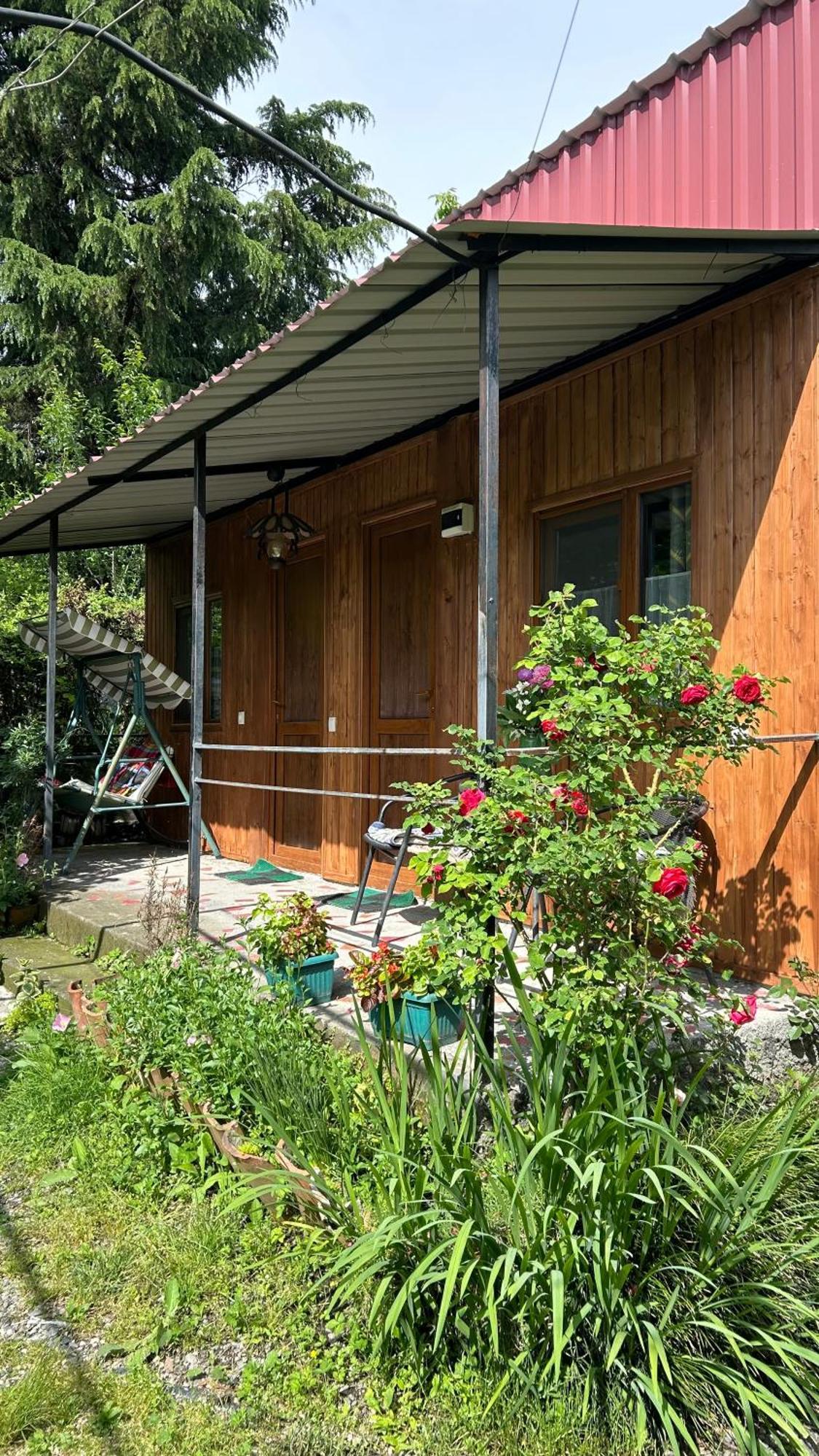 Ludwig Guesthouse Lagodekhi Zewnętrze zdjęcie