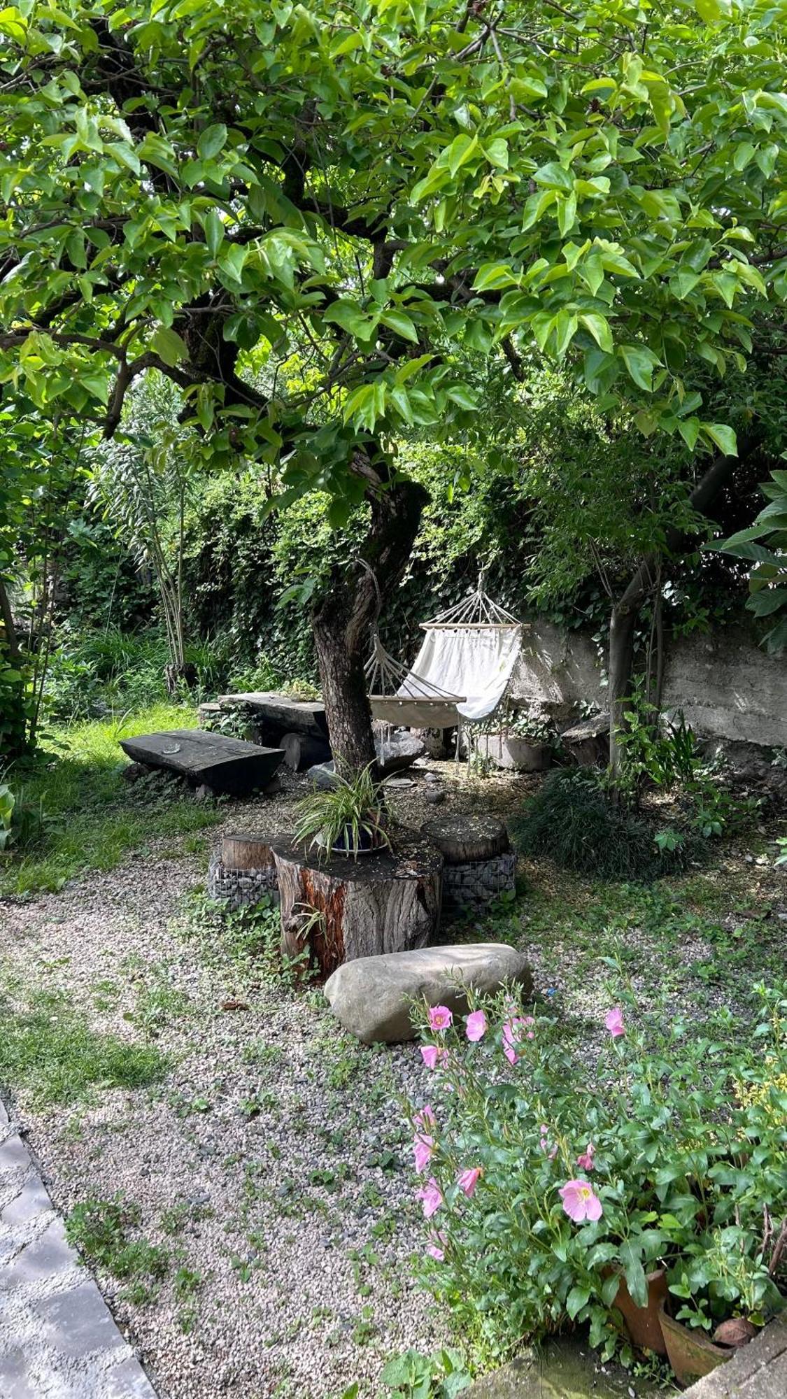 Ludwig Guesthouse Lagodekhi Zewnętrze zdjęcie
