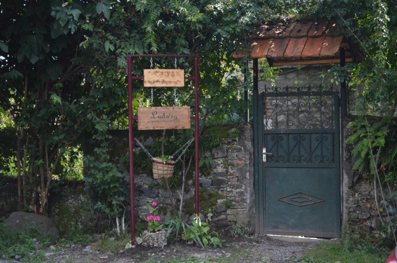 Ludwig Guesthouse Lagodekhi Zewnętrze zdjęcie