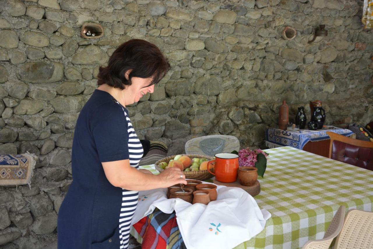 Ludwig Guesthouse Lagodekhi Zewnętrze zdjęcie